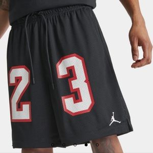 NEW Jordan essentials mesh shorts